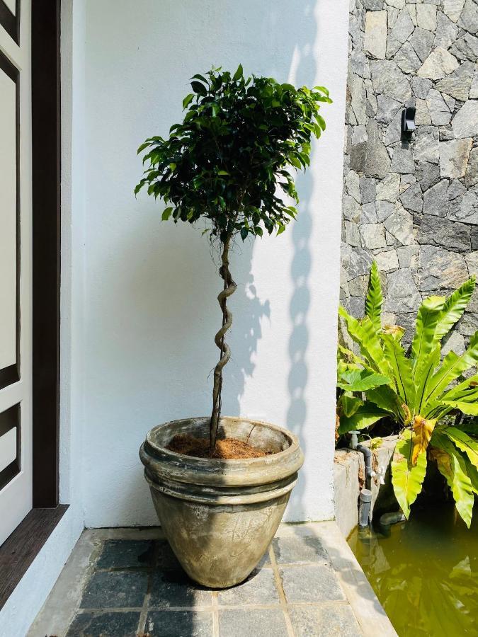 Thaprobana Villa Tangalle - Private Villa Dış mekan fotoğraf