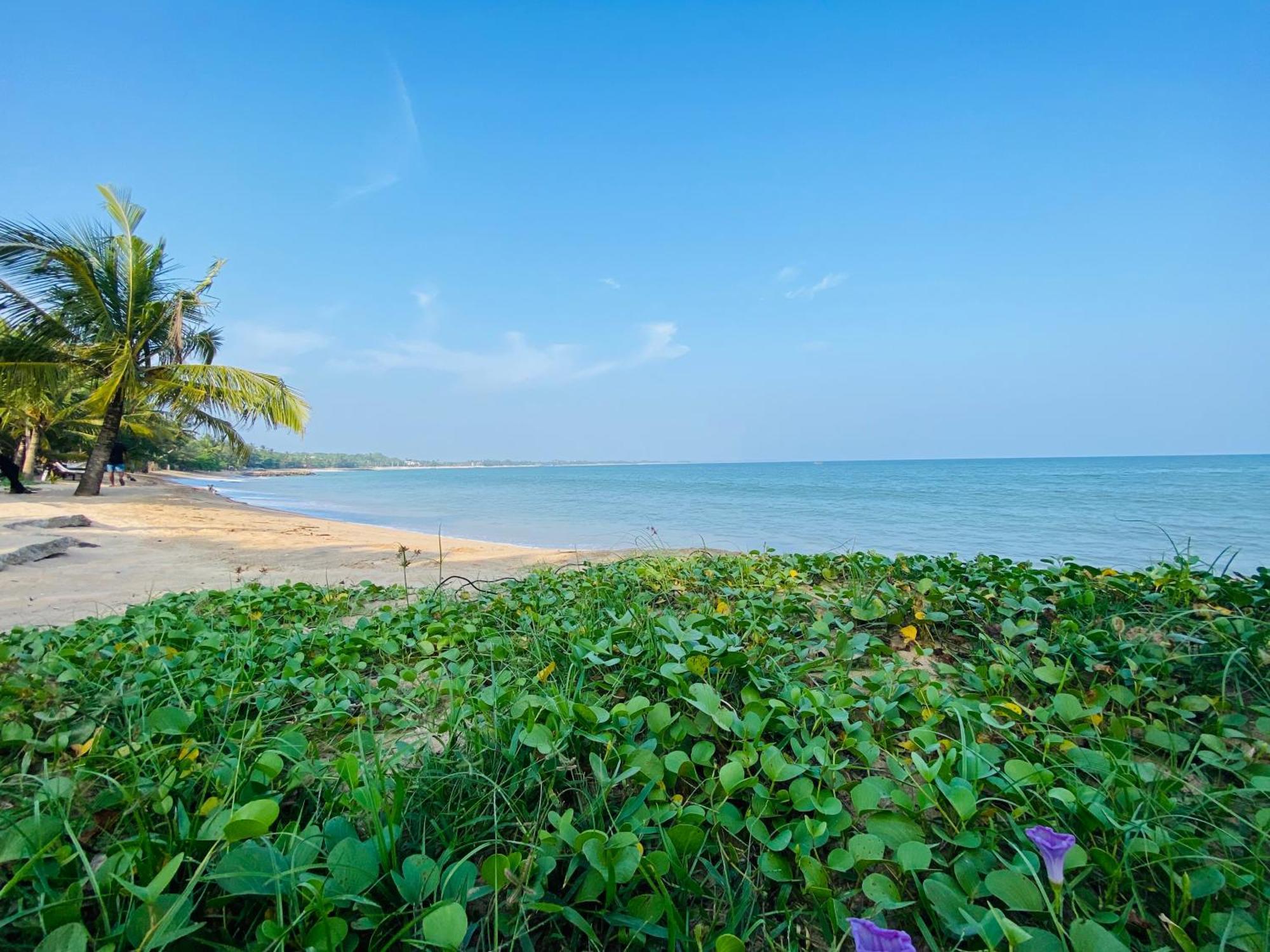 Thaprobana Villa Tangalle - Private Villa Dış mekan fotoğraf