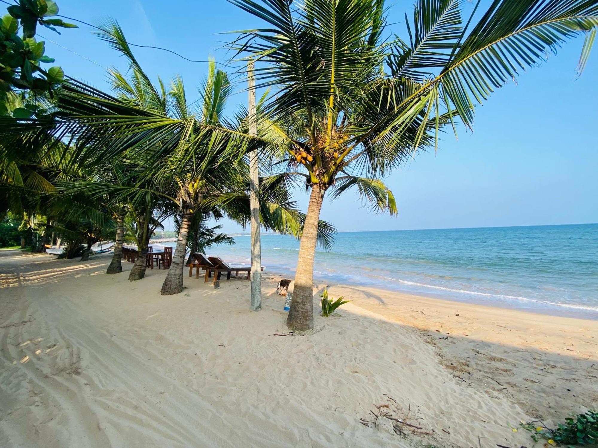 Thaprobana Villa Tangalle - Private Villa Dış mekan fotoğraf